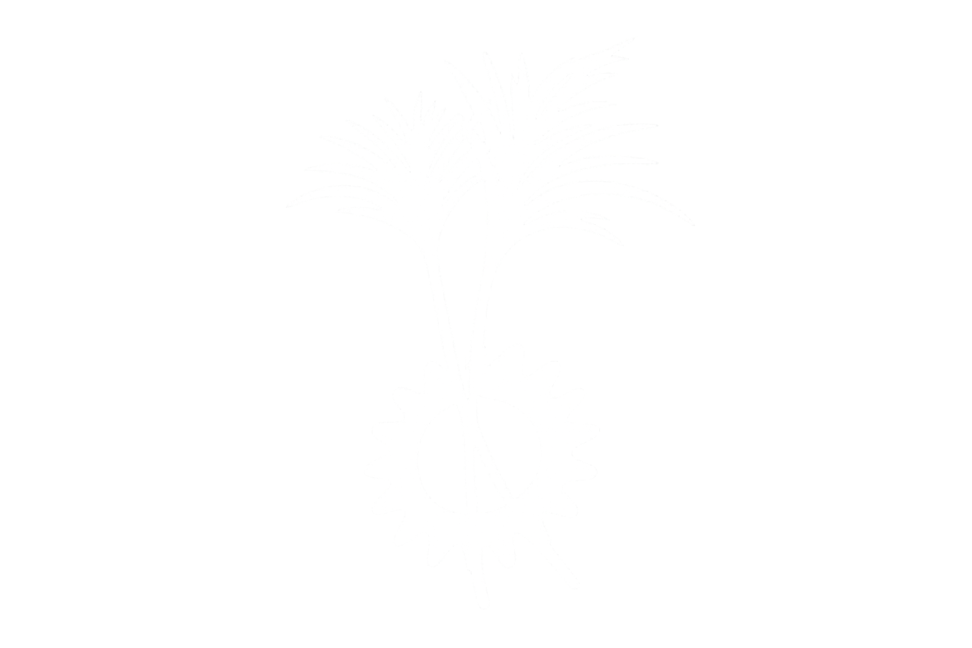 HPCO
